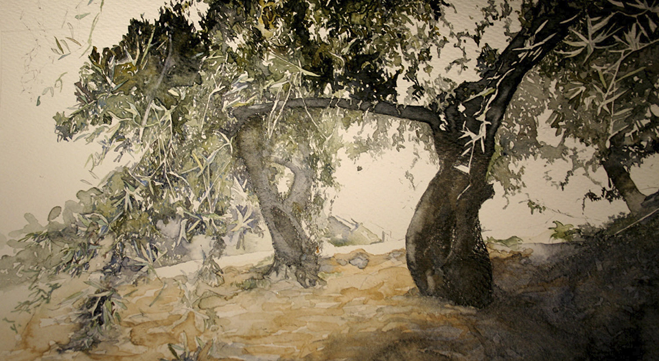 OLIVOS 76X46